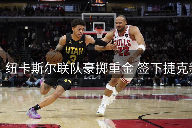 纽卡斯尔联队豪掷重金 签下捷克新星霍尔尼切克